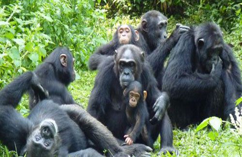 Cultural and Wildlife Tour