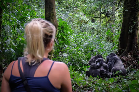 3 Days Uganda gorilla trekking tour
