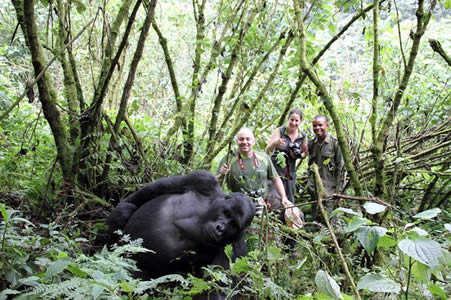 3 Days Congo Gorilla trekking