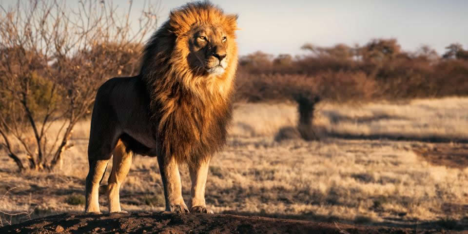 Activities in Queen Elizabeth National Park