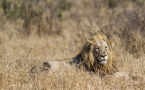 Activities in Queen Elizabeth National park