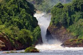 21 Days Uganda Tour