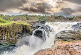 12 Days Primate and Wildlife Safari